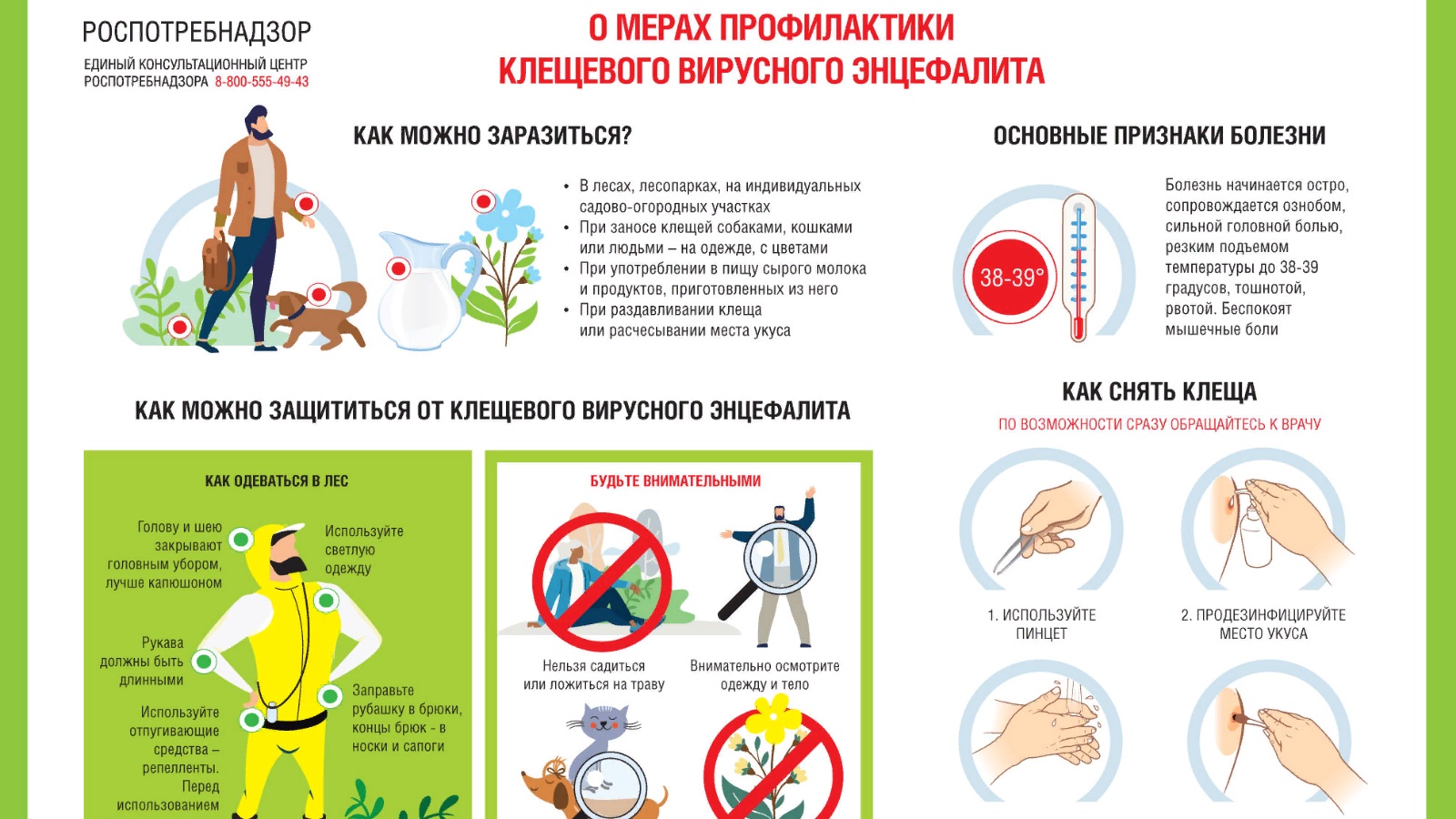 Заражение человека клещевым возможно при